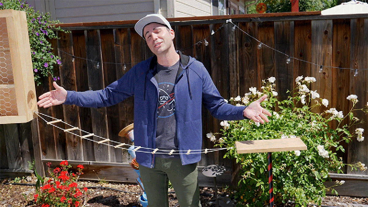 Former NASA Engineer Builds a Ninja Warrior Obstacle Course to Stop Nut-Stealing Backyard Squirrels - Gizmodo