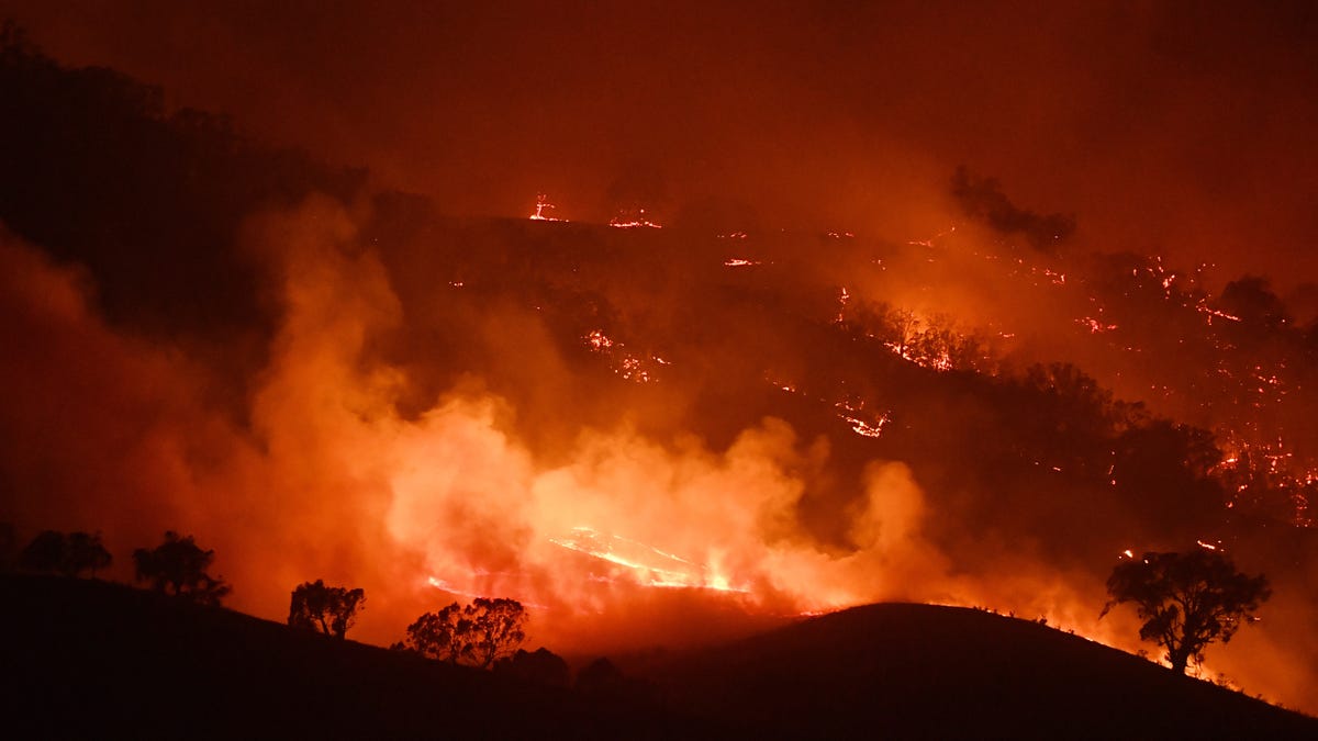 Bushfires Are 'Obliterating the Cultural Memory' of Australia's Aboriginal People