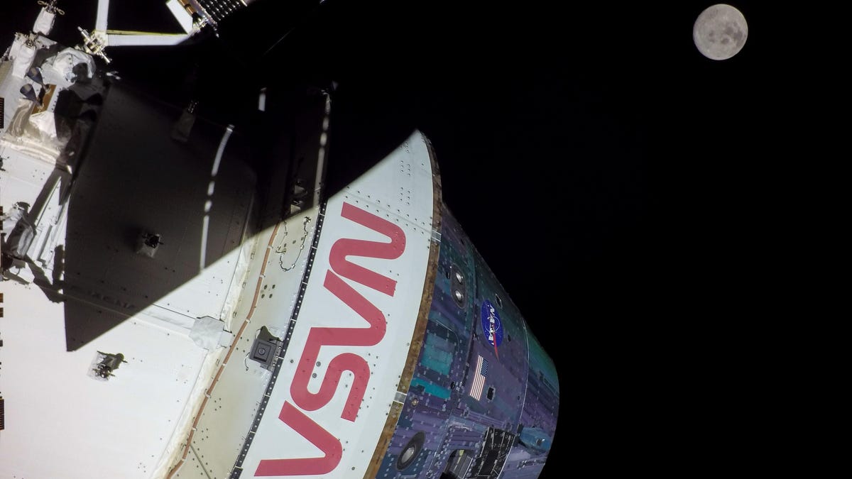 Mire en vivo mientras la NASA anuncia los astronautas Artemis 2