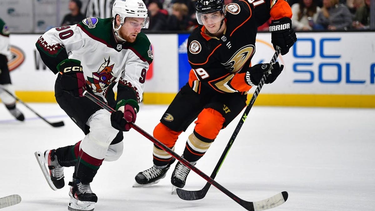 Anaheim Ducks and Arizona Coyotes bring NHL action to the desert