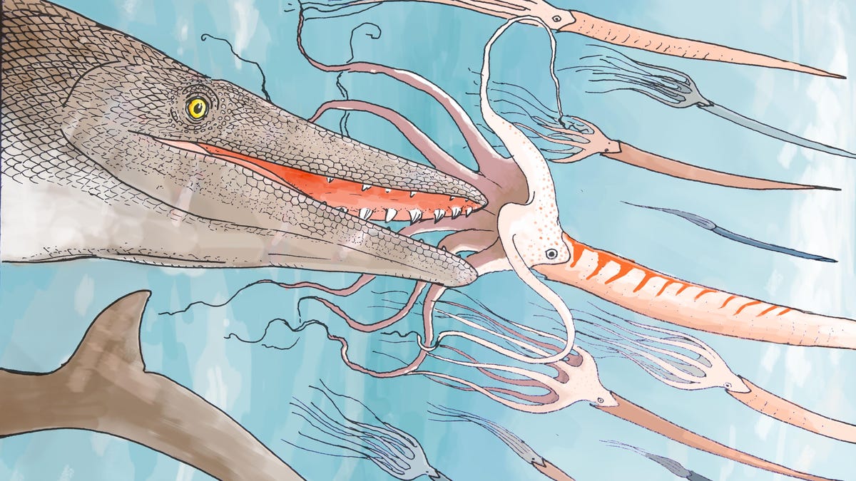 Paleontólogos desconcertados por depredador nadador con dientes de ‘destornillador’