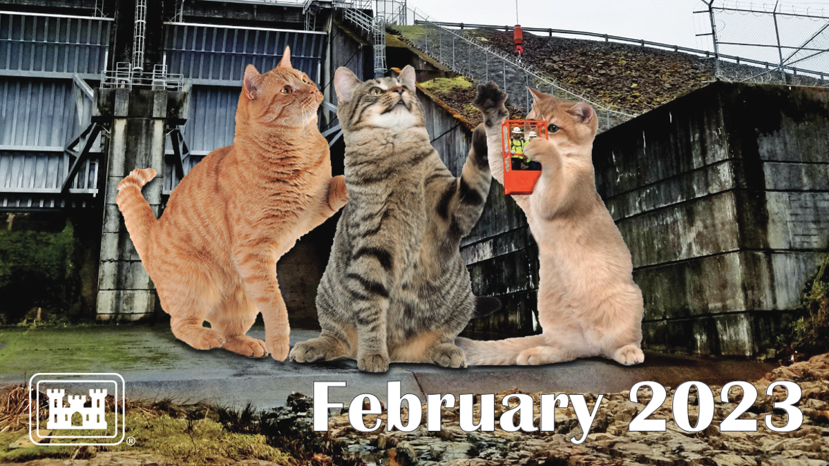 The Army Corps of Engineers Made a Glorious 2023 Cat Calendar