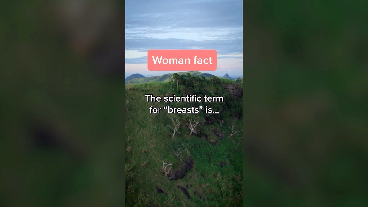 Woman Fact: Did You Know?