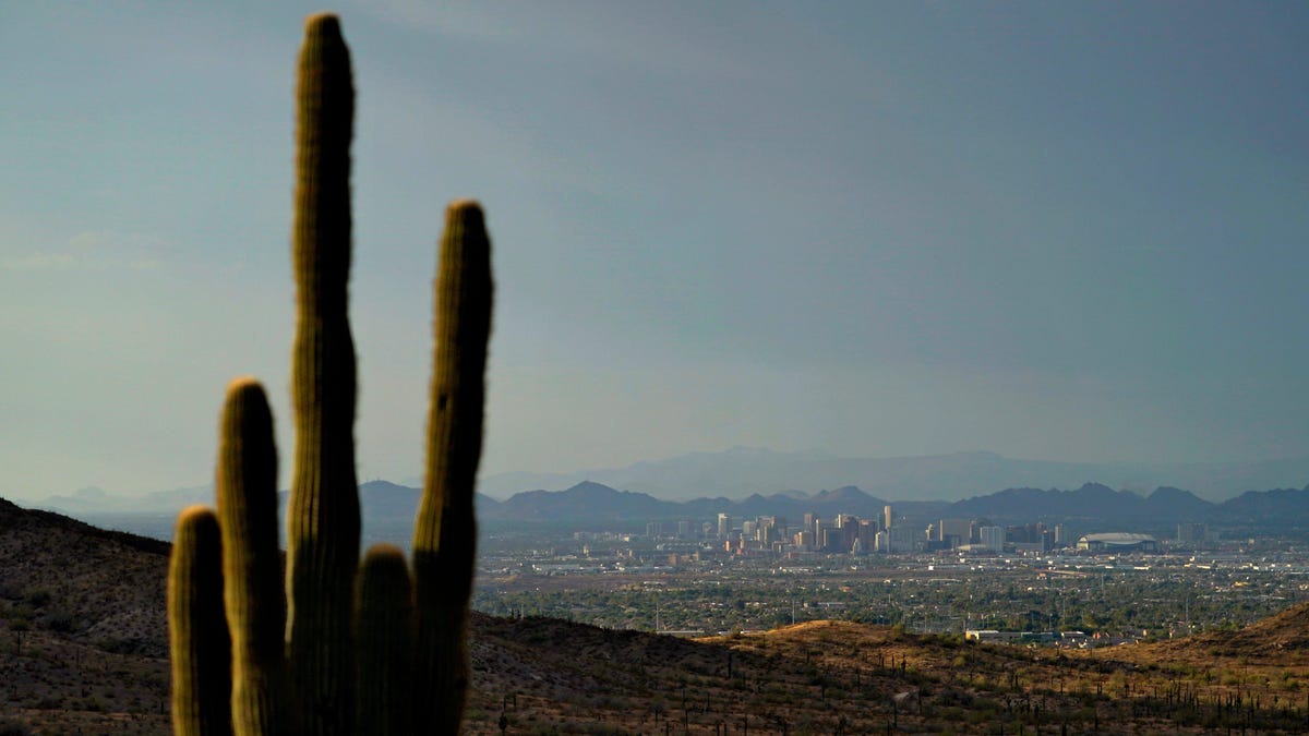 Recurring Cases of Severe Burns in Phoenix Caused by Scorching Hot Asphalt