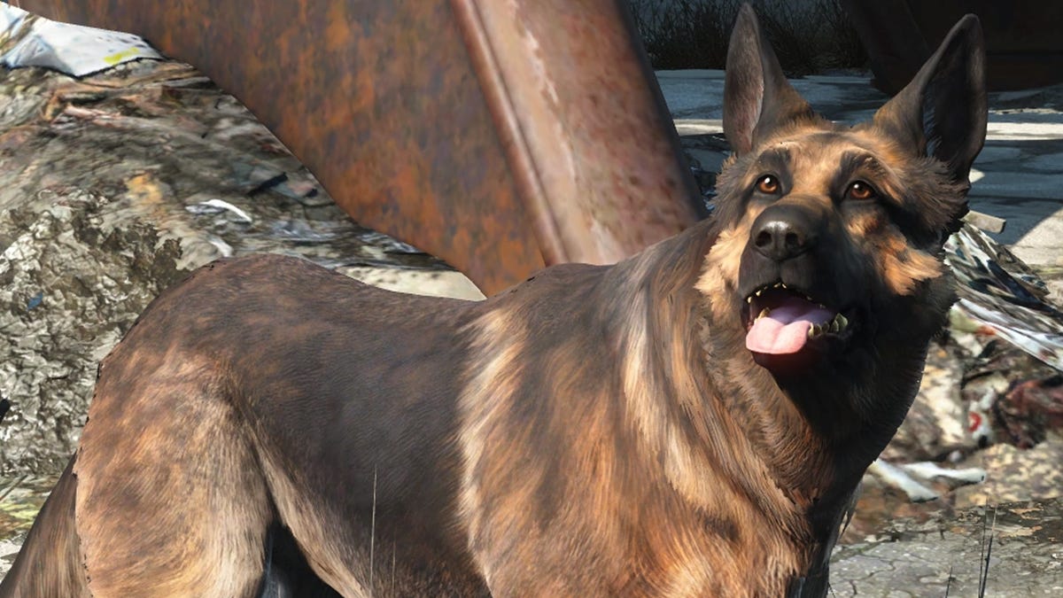 fallout 4 how to call dog