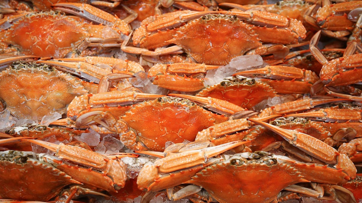 Watch out, Mr. Krabs: Crustacean shells could provide a crucially biodegrad...