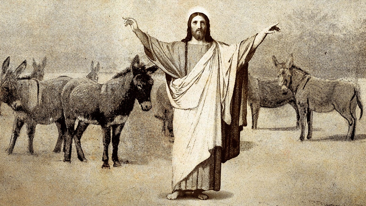 New Evidence Finds Christ Used Followers’ Money On Lavish Fleet Of Private Donkeys