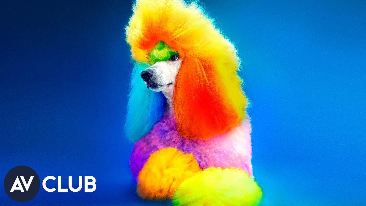 Let S Take A Peek At The Colorful World Of Creative Dog