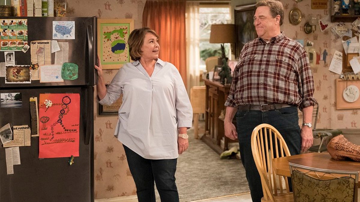 All Of Roseanne Barr s Real Life Husbands Tom Arnold MechaTomArnold