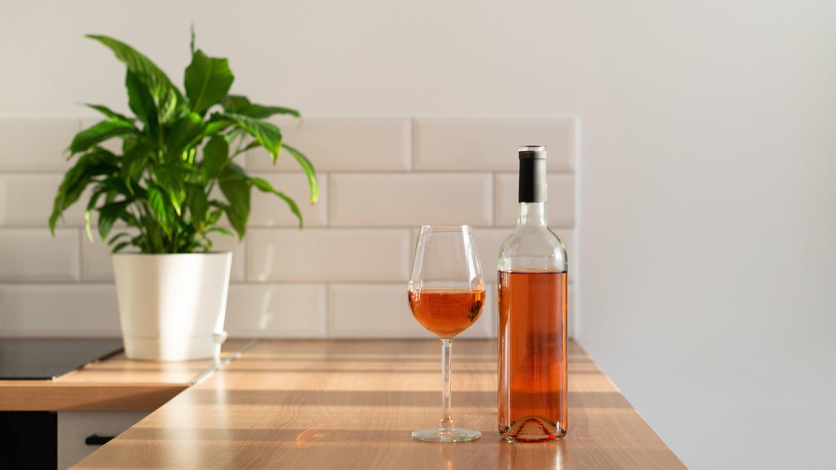 Verwenden Sie alte Weinflaschen, um Ihre Zimmerpflanzen zu gießen