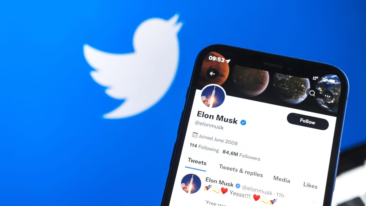 Elon Subpoenas Twitter Whistleblower to Testify About Counting Bots