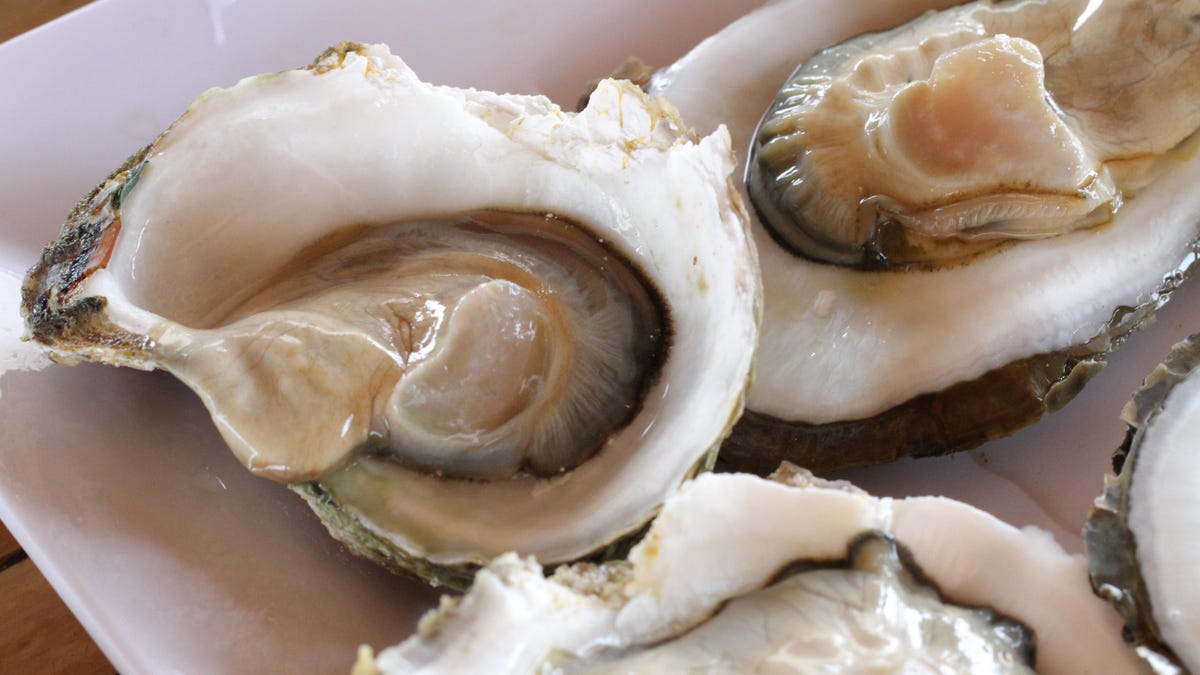 Avoid These Raw Oysters From Canada, FDA Says