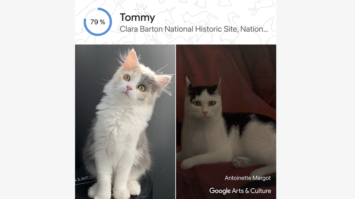Google's 'Pet Portraits' Feature Found my Cat's Historical Twin