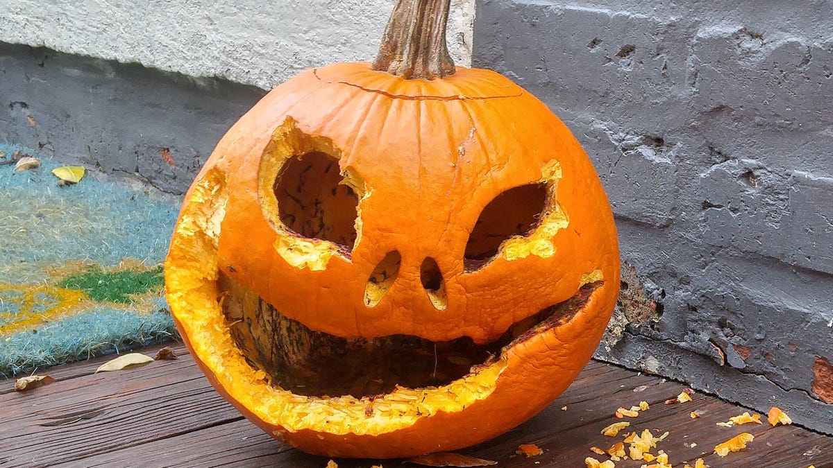 3-Week-Old Jack-O'-Lantern Excited To Give One Last Scare When ...