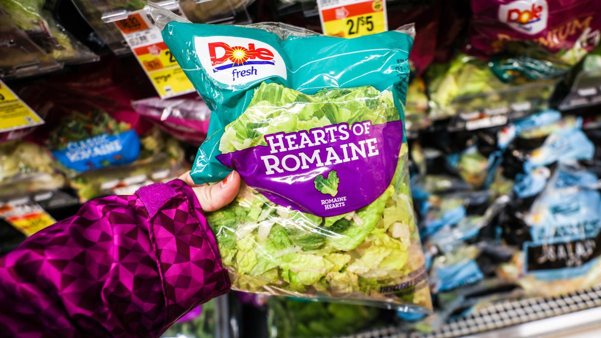Throw Out These Listeria-Ridden Salads, FDA Says