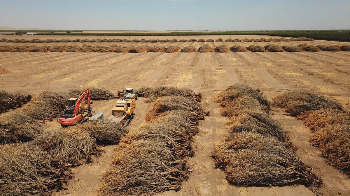 California’s Farmers Face Unprecedented Water Restrictions