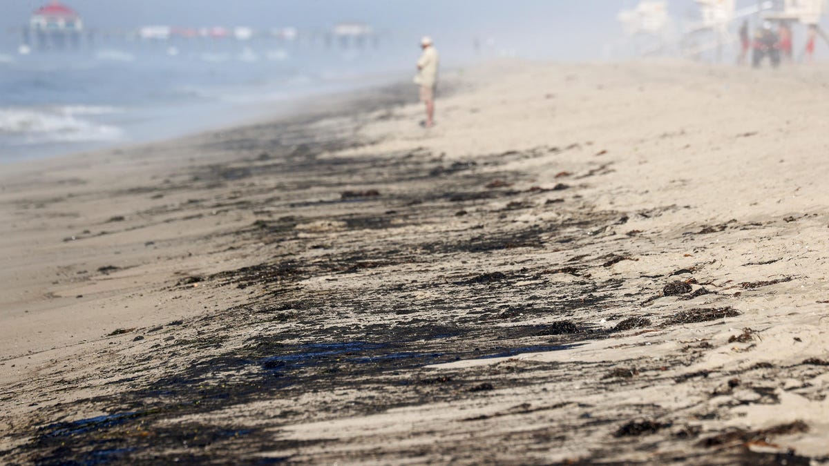 Major Oil Spill Off the Coast of Southern California Has 'Dolphins Swimming Thru..