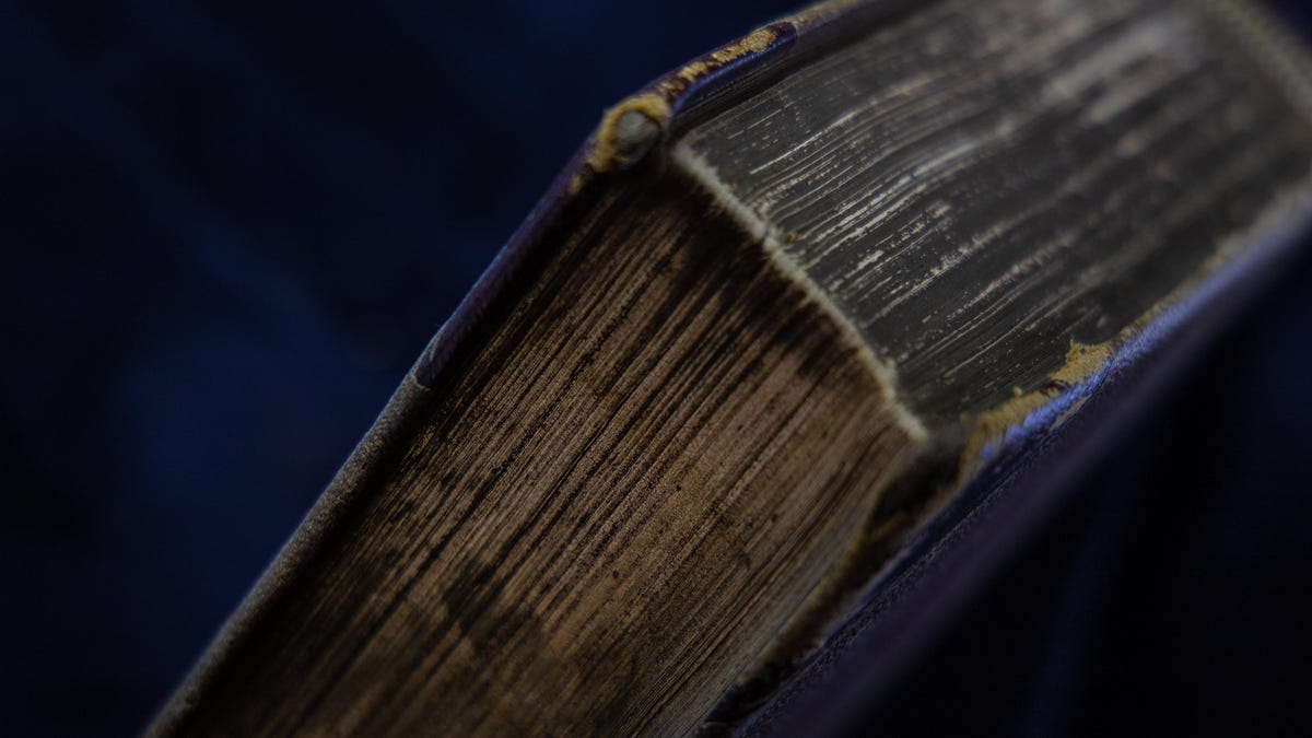 How to Remove Mold From Books (and Prevent It From Coming Back)