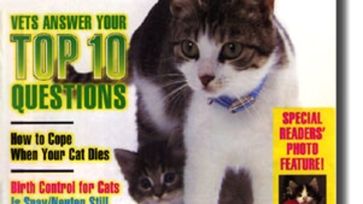 Cat Fancy Magazine Blasts Area Kitten