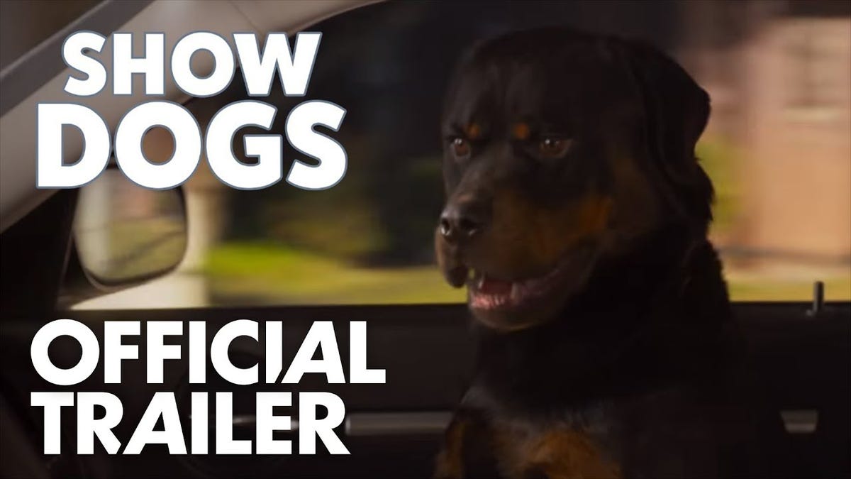Включи псы под. Show Dogs перевод на русский.