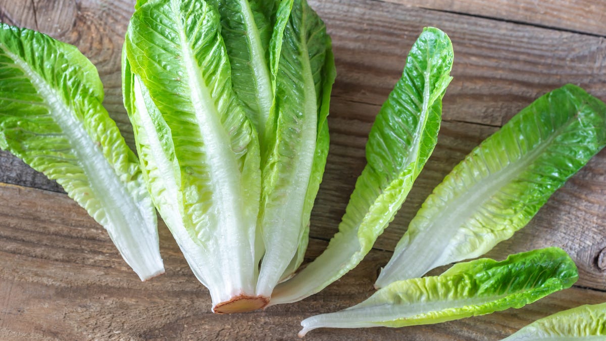 Lettuce Is Safe Again lettuce-is-safe-again