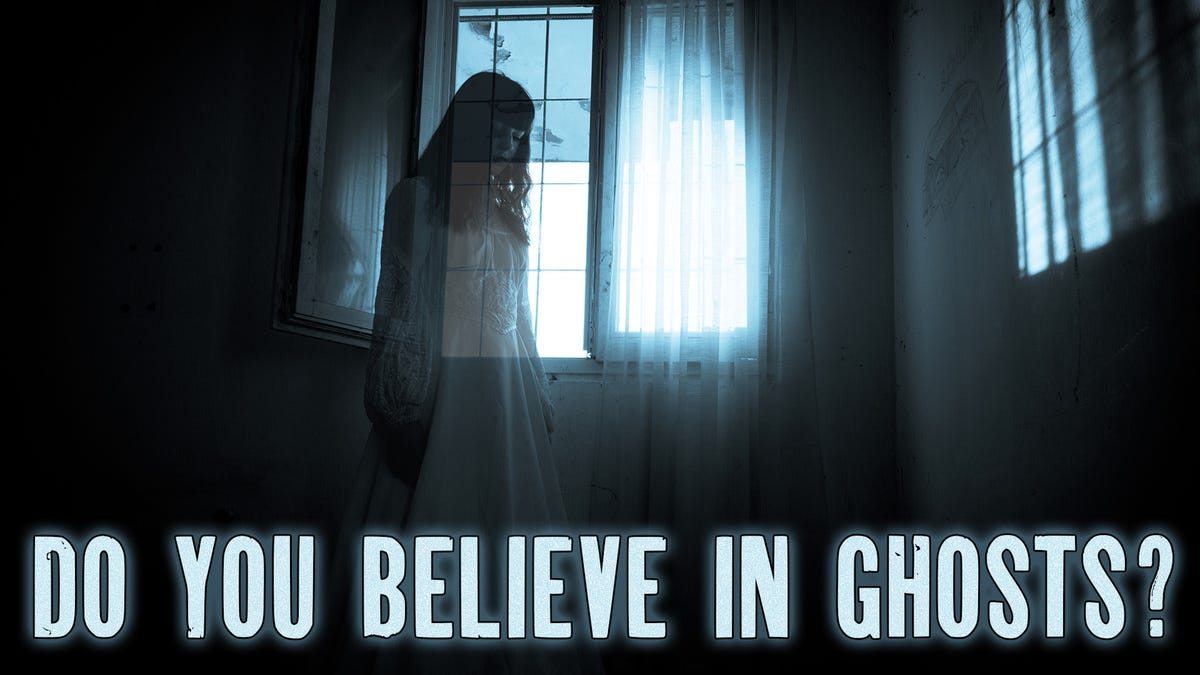 ¿Mali Elfman cree en fantasmas?  |  La próxima salida