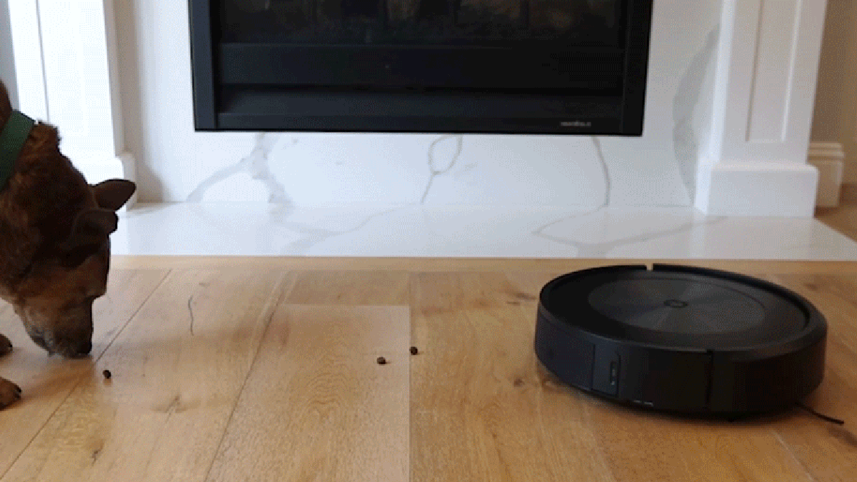 Roomba Treat Dispenser Could War Between and Vacuums