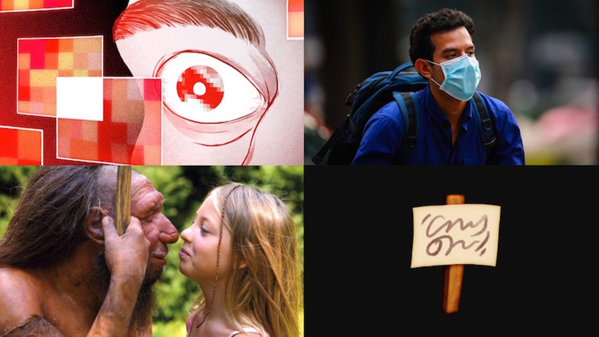 Amazon Horrors, Buttholes on Facebook and the Truth About Face Masks: Best Gizmodo Stories of the Week thumbnail