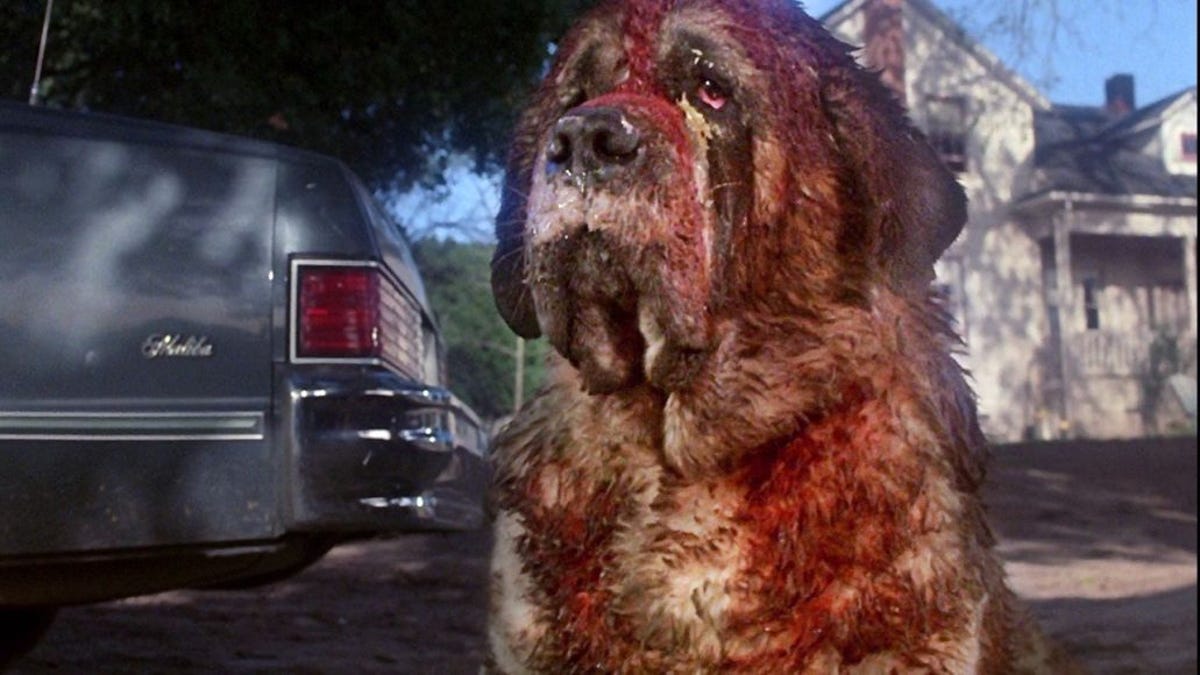 Stephen King's Got a Cujo Follow Up in the Works