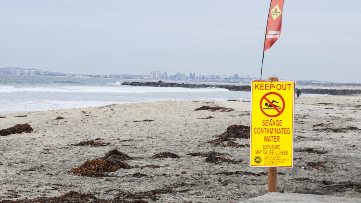 Avoid these beaches with too much poo