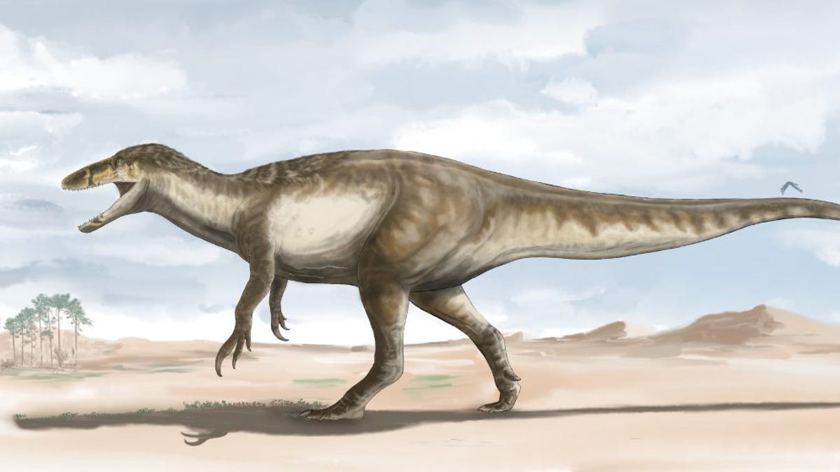 Descubren los restos de un velocirraptor gigante en Argentina