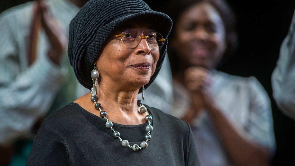 Alice Walker Criticized After She Endorses AntiSemitic Book