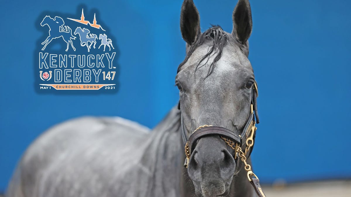 Has a gray horse ever won the Kentucky Derby?