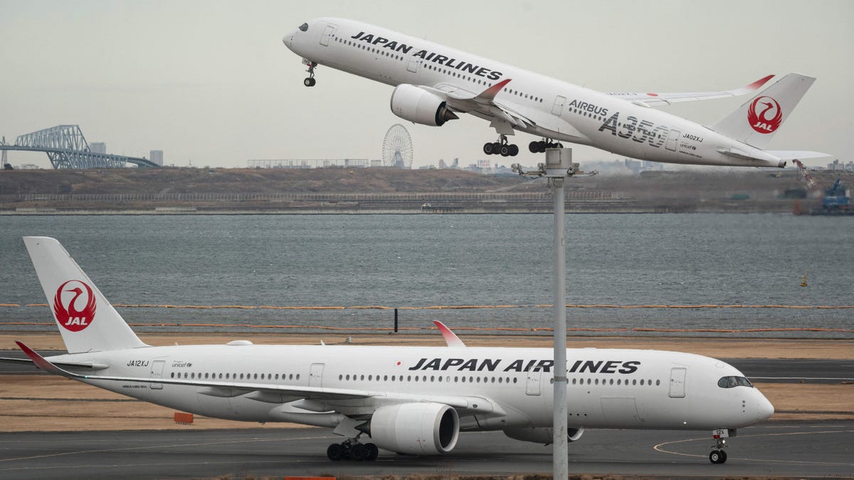着陸予定時刻を10分遅らせた日本の飛行機が引き返しを余儀なくされた