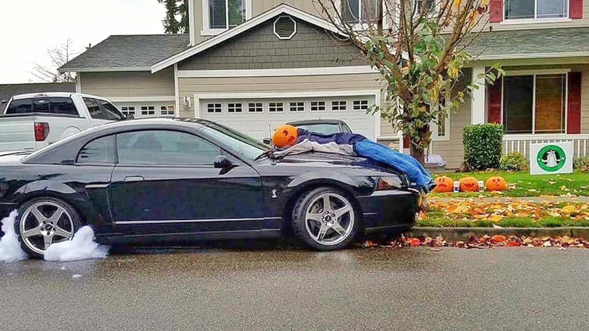 This Is An Appropriate Mustang Halloween Decoration