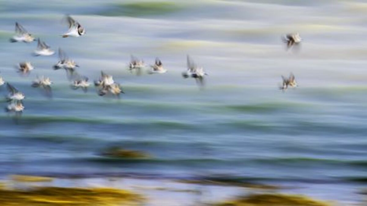 Stop Refreshing Your Feed The 2026 Oscar Nominations Are Already Decided