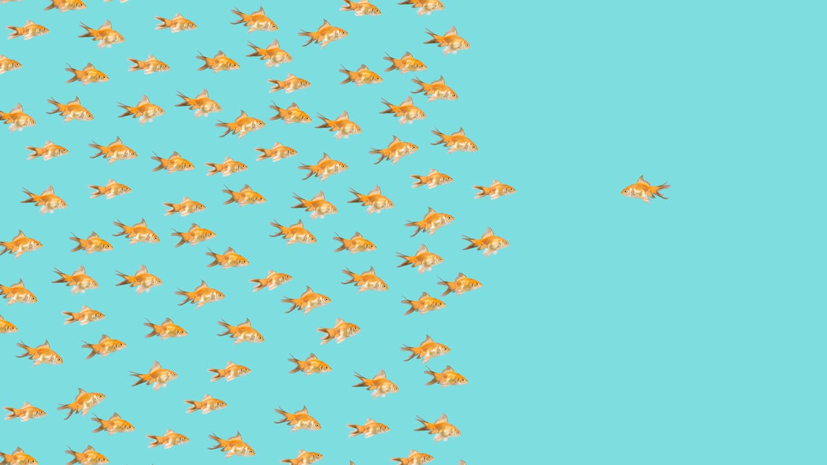 How To Develop Your Charisma And Become More Likable