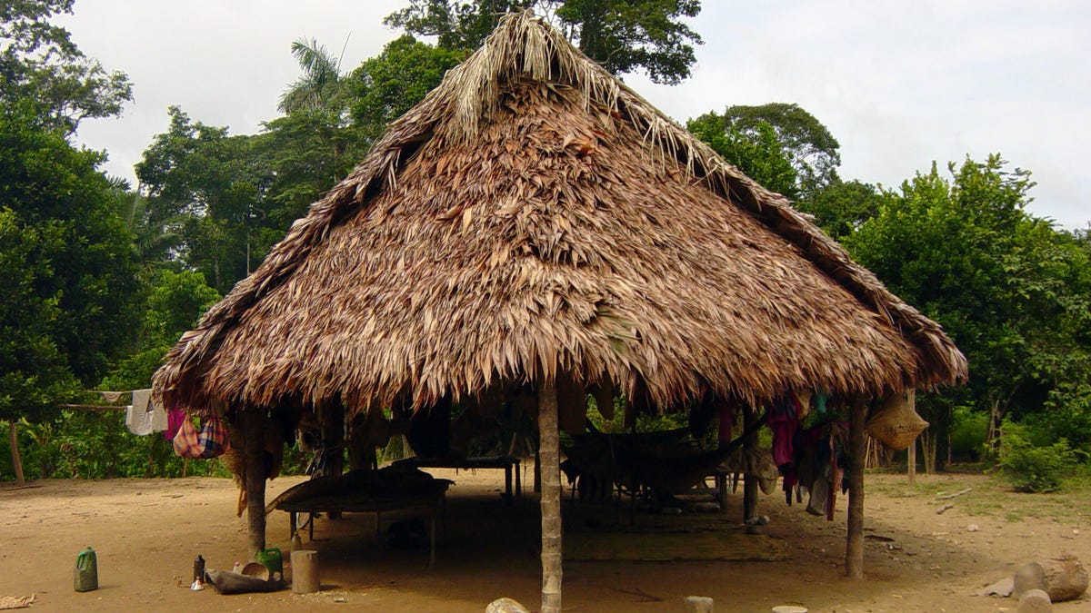 An Indigenous Group in the Amazon Has Experienced a Drop in Body Temperature Since 2002