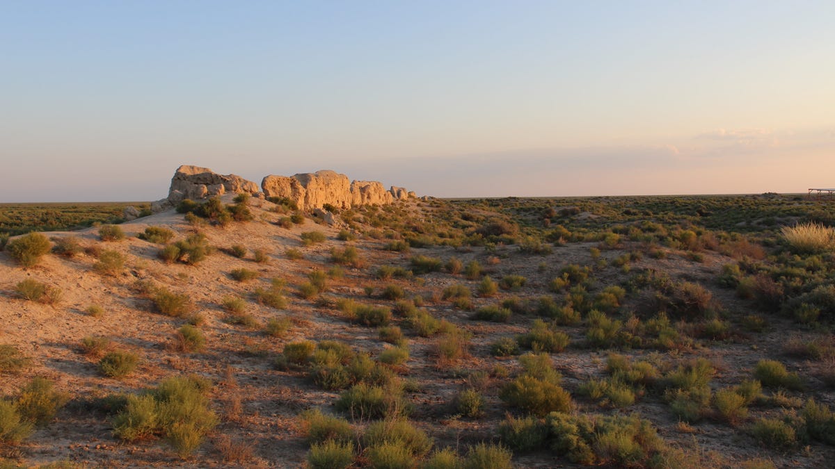 1,000-Year-Old Cat Skeleton Suggests Nomadic Herders Cared for Ailing Pet
