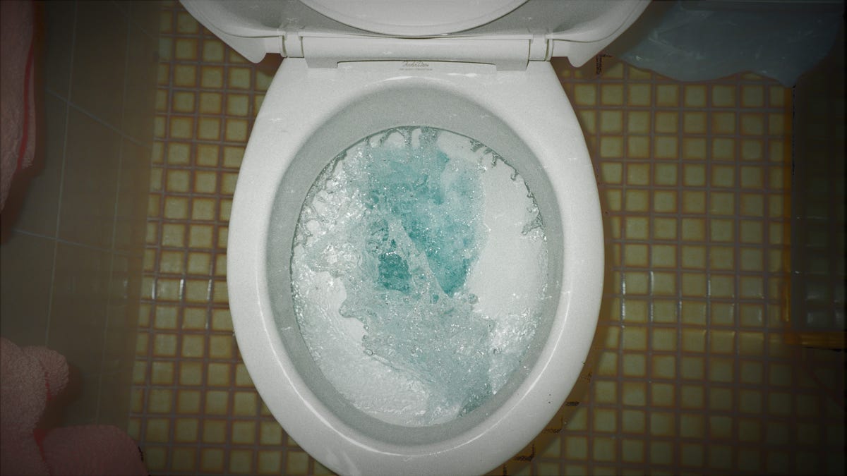 clogged toilet bowl full of water