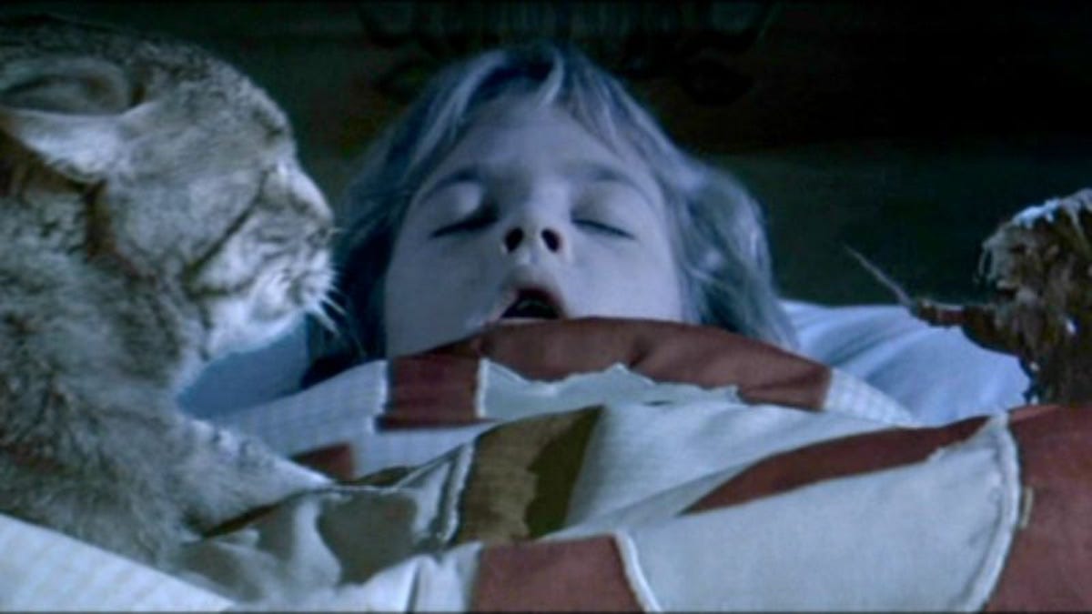 Cat S Eye Offers Three Intro Level Stephen King Tales