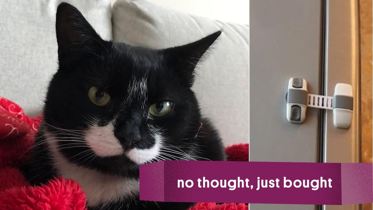 My Cat Learned How To Open My Fridge And These 8 Baby Locks