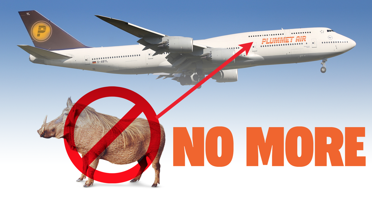 The Feds Want You To Leave Your Emotional Support Animals At Home