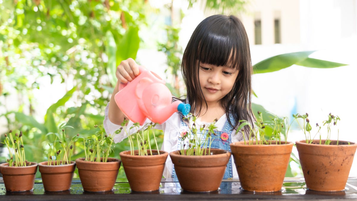 Should You Give 'Unschooling' a Try?