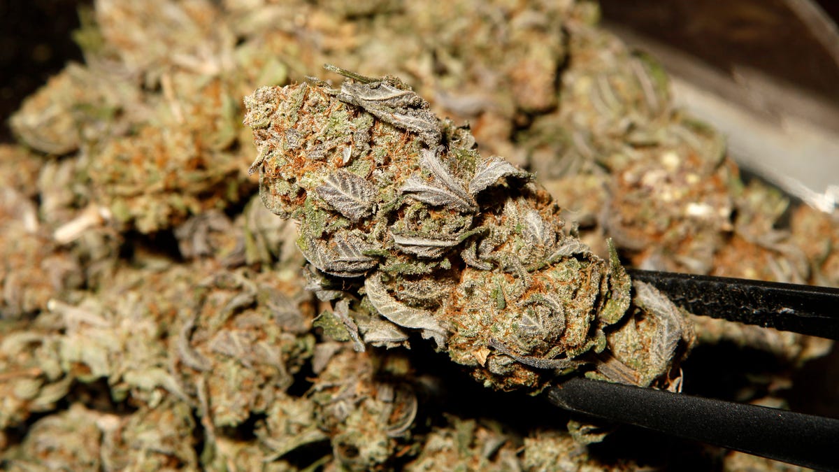 For the First Time Ever, Marijuana Legalization Bill Clears Congressional Committee