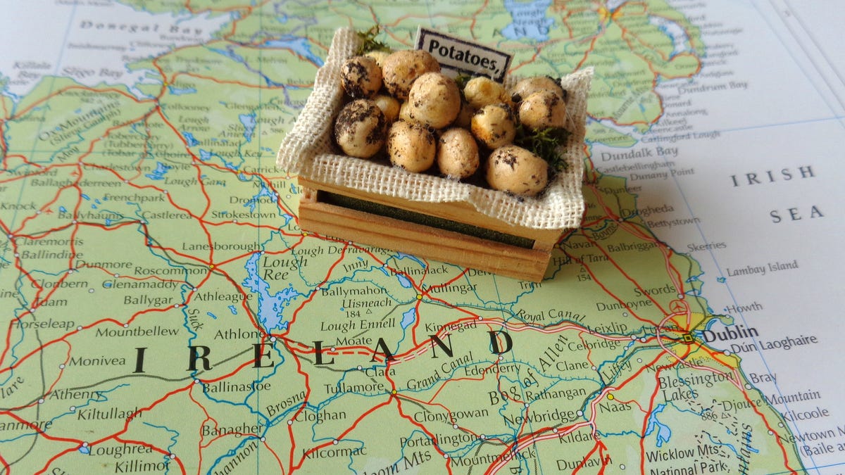 Master these essential potato dishes of Ireland