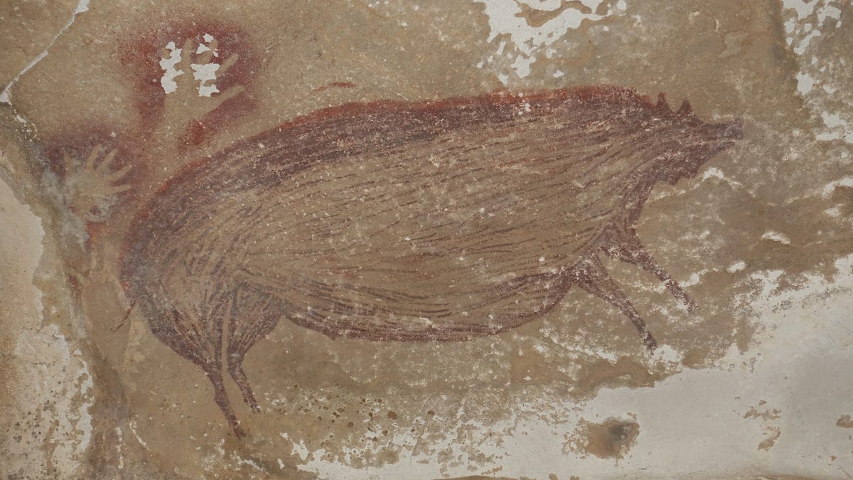 photo of Cave Painting of Pigs Might Be the Oldest Known Artwork of Animals image