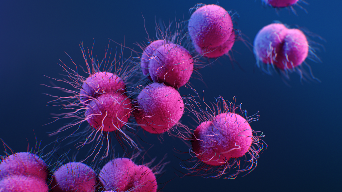 Yes, super gonorrhea is real and it’s going to get worse