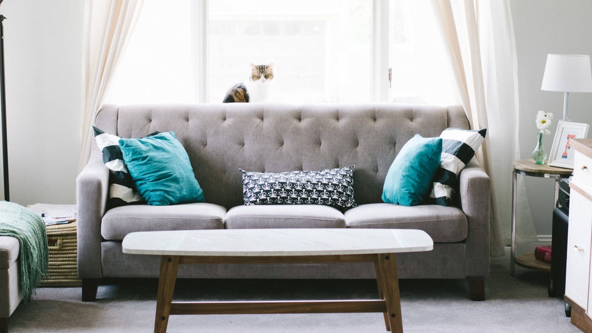 Is Baking Soda The Best Way To Clean Your Couch Is Baking Soda The Best Way To Clean Your Couch