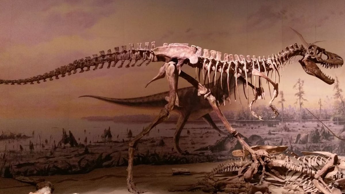 Dinosaurs like T. Rex were more tyrannical than we realized